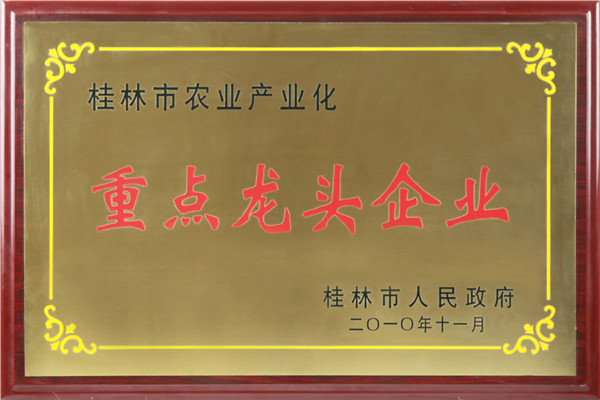 重點龍頭企業獎牌